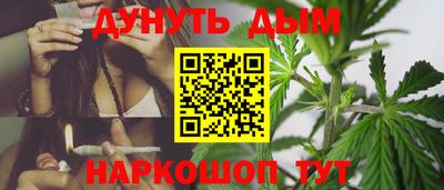 сатива Кунгур