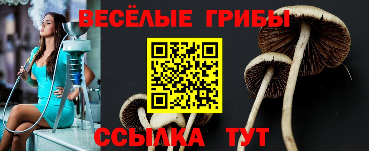 Псилоцибиновые грибы мицелий Клинцы