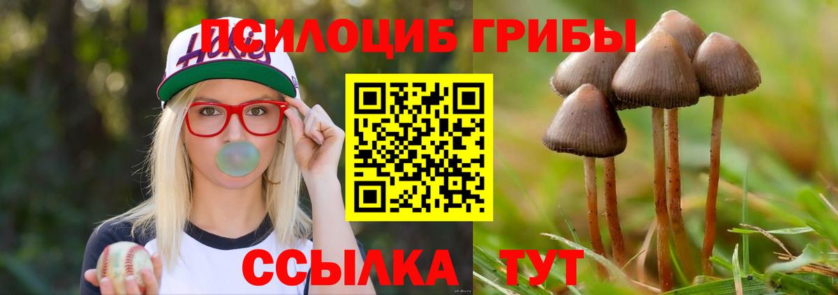 Псилоцибиновые грибы MAGIC MUSHROOMS  Вход с VPN  Клинцы 